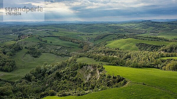 Luftaufnahme  Hügelige Landschaft mit Zypressen (Cupressus)  Crete Senesi  Provinz Siena  Toskana  Italien  Europa