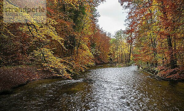 Fluss Würm  gelb und rot verfärbte Bäume im Herbst  Flusslandschaft  Würmtal bei Gauting  Bayern  Deutschland  Europa