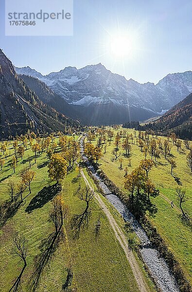 Karwendel  Luftaufnahme  Großer Ahornboden im Herbst  Gelber Bergahorn  Rißtal in der Eng  Tirol  Österreich  Europa