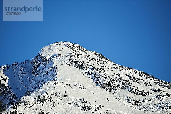 Berg mit Schnee im Herbst  Aurach  Kitzbühel  Österreich  Europa