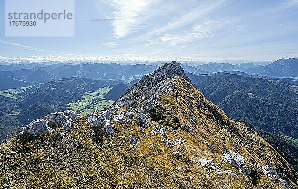 Wanderer mit Kletterhelm  auf Wanderweg an einem Grat  Ausblick auf Berglandschaft  hinten Bergkamm mit Gipfel des Seehorn  Nuaracher Höhenweg  Loferer Steinberge  Tirol  Österreich  Europa