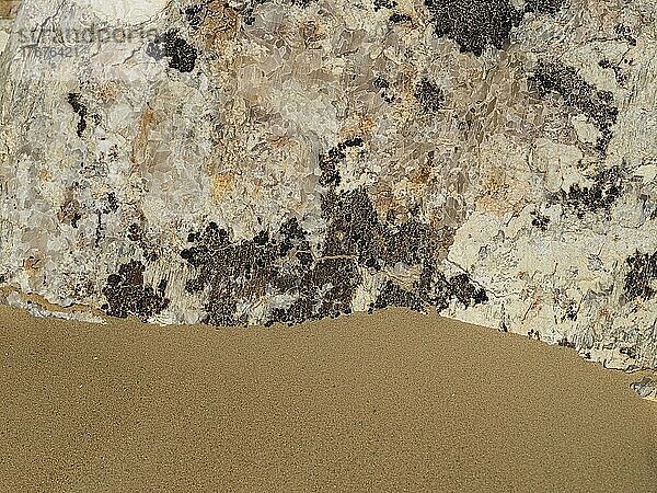 Makro  Calcitkristalle  Weiße Wüste  nahe Bahariya Oasis  Ägypten  Afrika