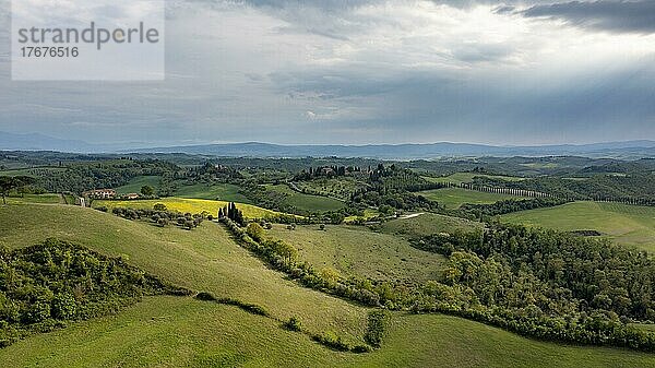 Luftaufnahme  Hügelige Landschaft mit Zypressen (Cupressus)  Crete Senesi  Provinz Siena  Toskana  Italien  Europa