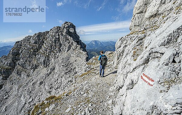 Wanderer in felsigem Gelände  hinten Felskamm mit Gipfel Rothörndl  Nuaracher Höhenweg  Loferer Steinberge  Tirol  Österreich  Europa