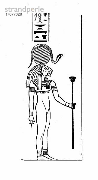 Sechet  Hor-sechet  ist der mutmaßliche Horusname eines altägyptischen Königs  Pharaos  der 1. oder 2. Dynastie (Frühdynastische Zeit)  Historisch  digital restaurierte Reproduktion einer Vorlage aus dem 19. Jahrhundert  genaues Datum unbekannt