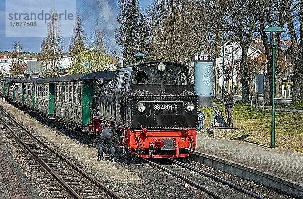 Die historische Eisenbahn Rasender Roland am Bahnhof Binz auf der Ferieninsel Rügen  Mecklenburg-Vorpommern  Deutschland  Europa