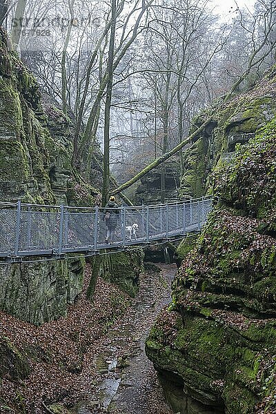 Wanderin mit Hund auf einer Brücke auf dem Mullerthal Trail  Kleine Luxemburger Schweiz  Luxemburg  Europa