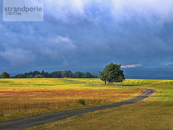 Blick von der Hohen Geba auf die Landschaft der Hochrhön im UNESCO Biosphärenreservat Rhön  Geba  Thüringen  Deutschland  Europa