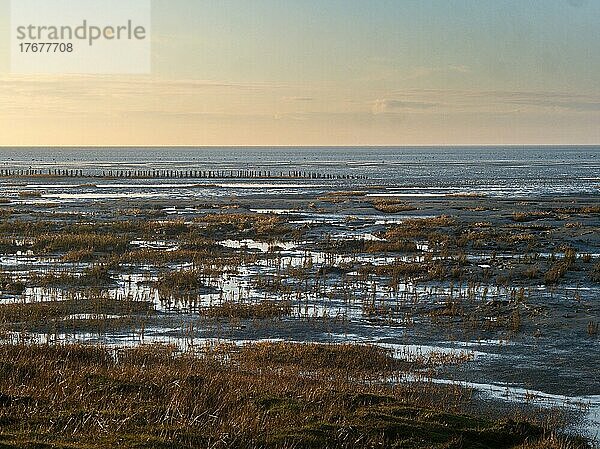 Wattlandschaft an der nordfriesischen Küste von Friedrichskoog  dahinter die Nordsee und der Nationalpark Schleswig-Holsteinisches Wattenmeer