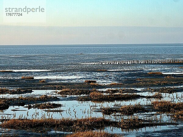 Wattlandschaft an der nordfriesischen Küste von Friedrichskoog  dahinter die Nordsee und der Nationalpark Schleswig-Holsteinisches Wattenmeer