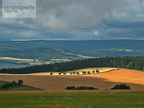 Blick von der Hohen Geba auf die Landschaft der Hochrhön im UNESCO Biosphärenreservat Rhön  Geba  Thüringen  Deutschland  Europa