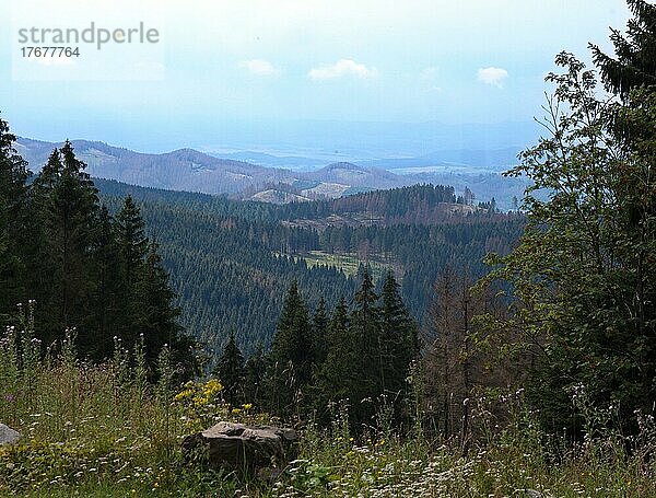 Blick auf das Sösetal von der Magdeburger Hütte an der Grenze zum Nationalpark Harz  Stieglitzecke  Niedersachsen  Deutschland  Europa