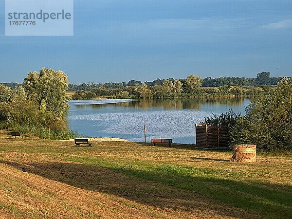Wiese und Badestrand am Gartower See im UNESCO Biosphärenreservat Flusslandschaft Elbe. Gartow  Niedersachsen  Deutschland  Europa