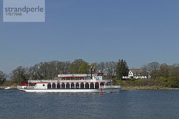 Raddampfer Schlei Princess  Rabelsund  Rabel  Schlei  Schleswig-Holstein  Deutschland  Europa