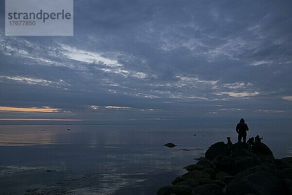 Abendstimmung  Naturstrand bei Steinbeck  Mecklenburg-Vorpommern  Deutschland  Europa