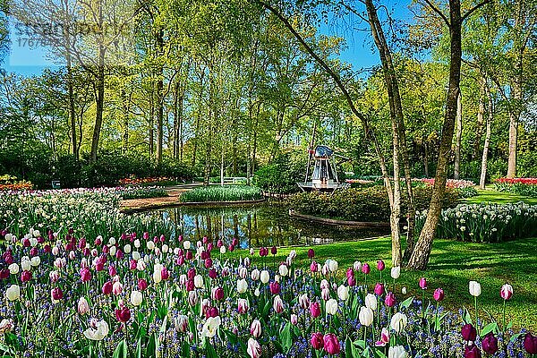 Blumengarten Keukenhof  einer der größten Blumengärten der Welt. Lisse  die Niederlande