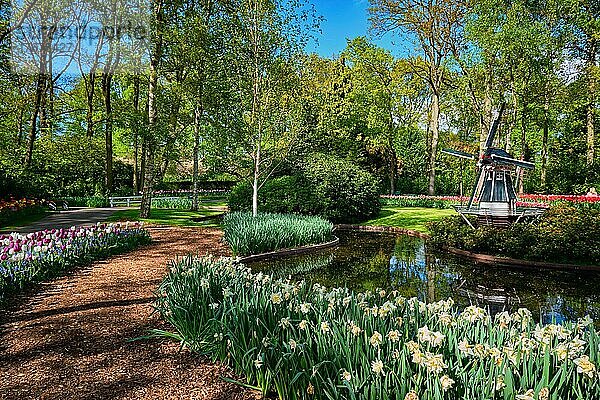 Blumengarten Keukenhof  einer der größten Blumengärten der Welt. Lisse  die Niederlande
