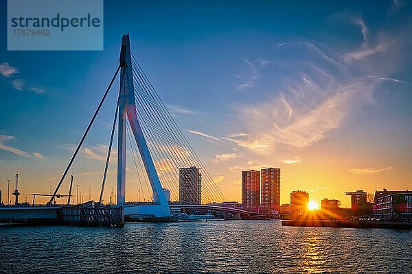 Erasmusbrücke (Erasmusbrug) und Rotterdamer Skyline bei Sonnenuntergang über der Nieuwe Maas. Rotterdam  Niederlande  Europa