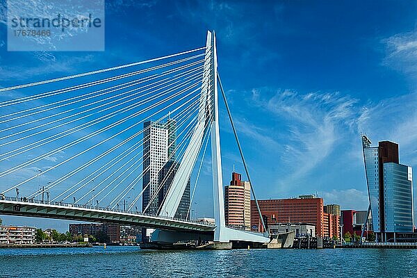 Panorama der Stadt Rotterdam mit der Erasmusbrücke. Niederlande
