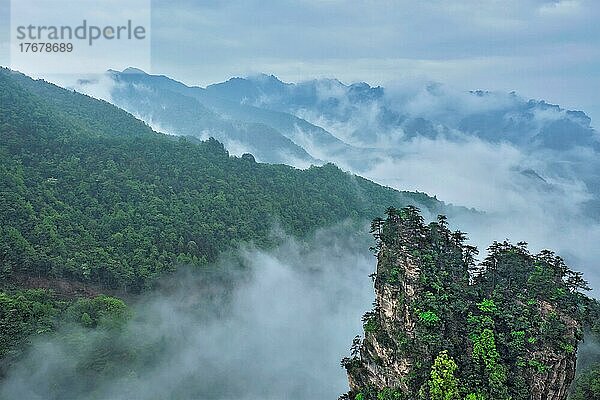 Berühmte Touristenattraktion Chinas  Zhangjiajie Steinsäulen Klippenberge in Nebelwolken bei Wulingyuan  Hunan  China  Asien