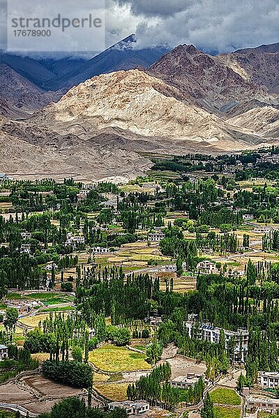 Luftaufnahme von Häusern im Indus-Tal in der Stadt Leh in Ladakh (Klein-Tibet) und im Himalaya-Gebirge. Ladakh  Jammu und Kaschmir  Indien  Asien