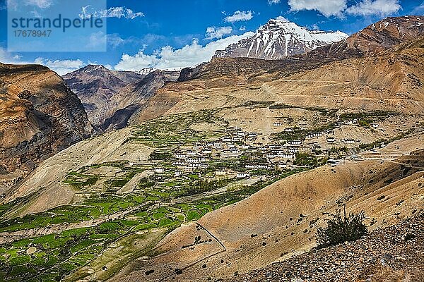 Das Dorf Kibber im Himalaya. Spiti-Tal  Himachal Pradesh  Indien  Asien