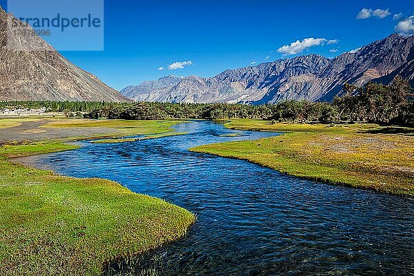 Bach im Nubra-Tal in Hunder  Nubra-Tal  Ladakh  Indien  Asien