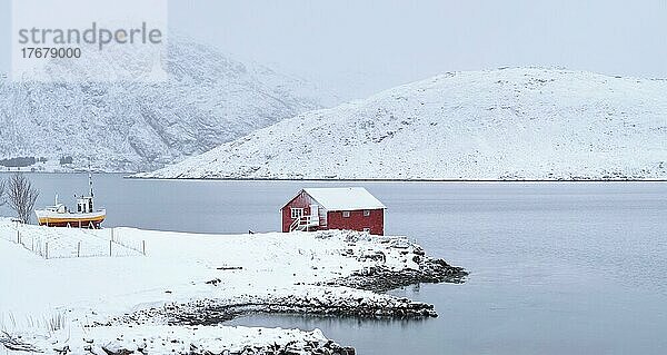 Panorama des traditionellen roten Rorbu-Hauses und des Fjordufers mit viel Schnee im Winter. Lofoten Inseln  Norwegen  Europa