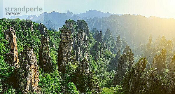 Panorama der berühmten Touristenattraktion von China  Zhangjiajie Steinsäulen Klippe Berge bei Sonnenuntergang in Wulingyuan  Hunan  China  Asien