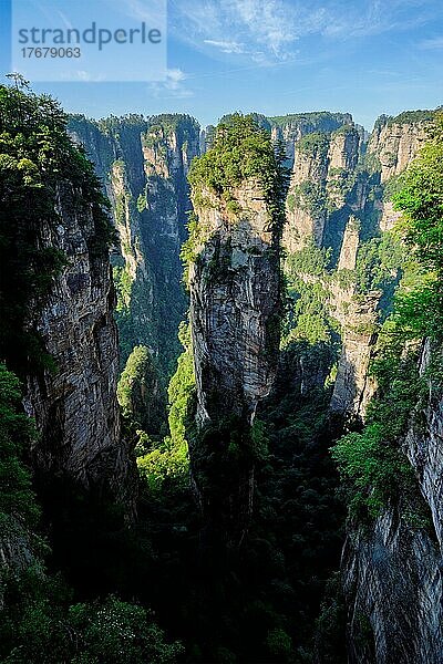 Berühmte Touristenattraktion in China  Avatar Hallelujah Mountain in Zhangjiajie Steinsäulen Felsen Berge bei Sonnenuntergang in Wulingyuan  Hunan  China  Asien