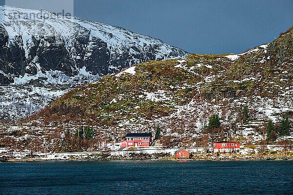 Traditionelle rote Rorbu-Häuser am Fjordufer im Schnee im Winter. Lofoten-Inseln  Norwegen  Europa