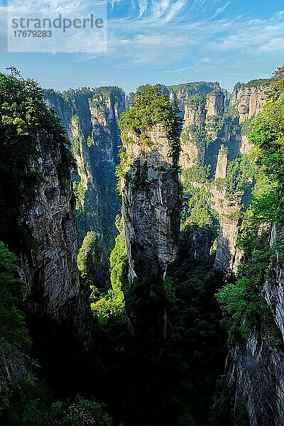 Berühmte Touristenattraktion in China  Avatar Hallelujah Mountain in Zhangjiajie Steinsäulen Felsen Berge bei Sonnenuntergang in Wulingyuan  Hunan  China  Asien