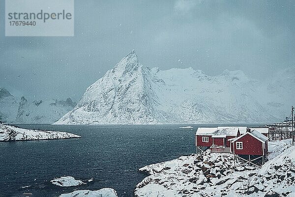 Berühmte Touristenattraktion Hamnoy Fischerdorf auf den Lofoten  Norwegen mit roten Rorbu-Häusern. Mit fallendem Schnee im Winter bei Sonnenaufgang