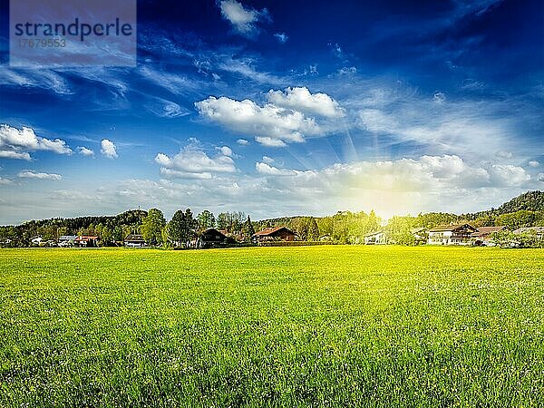 Ländliches Wiesenfeld mit Sonne und blauem Himmel  Deutschland  Europa