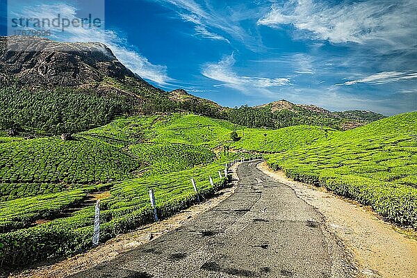 Malerische Straße in grünen Teeplantagen  Munnar  Bundesstaat Kerala  Indien  Asien