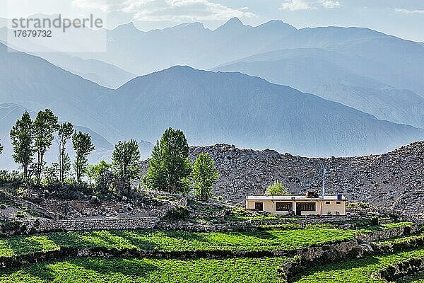 Dorf Nako im Himalaya  Himachal Pradesh  Indien  Asien
