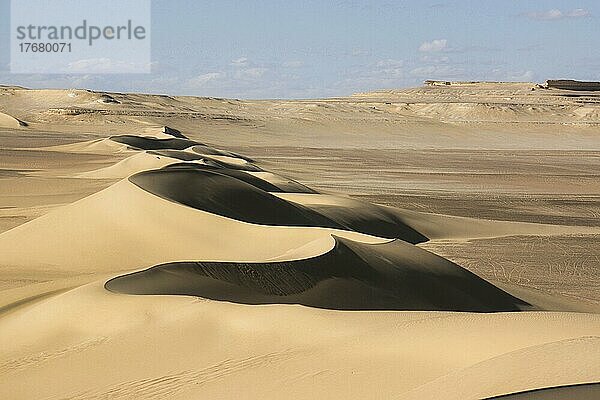 Dünen  Gusur al Arab  Fayum  Ägypten  Afrika