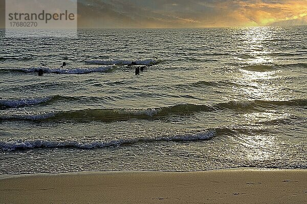 Nordsee am Strand von Rantum bei Sonnenuntergang  Sylt  nordfriesische Inseln  Nordfriesland  Schleswig-Holstein  Deutschland  Europa