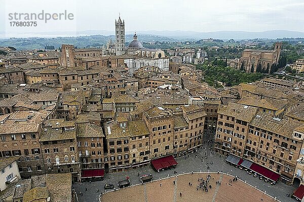 Stadtansicht  Blick vom Torre del Mangia  Piazza del Campo  Siena  Toskana  Italien  Europa