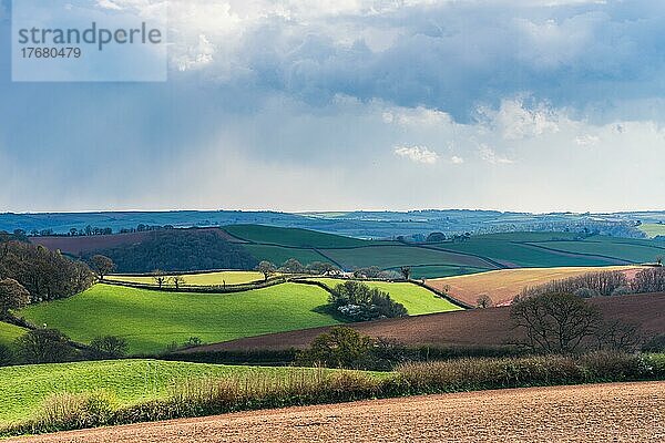 Felder und Wiesen über English Village  Devon  England  Großbritannien  Europa