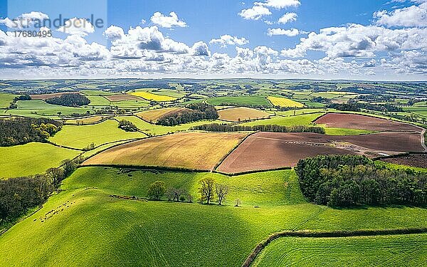 Felder und Wiesen über dem englischen Dorf  Berry Pomeroy  Devon  England  Großbritannien  Europa