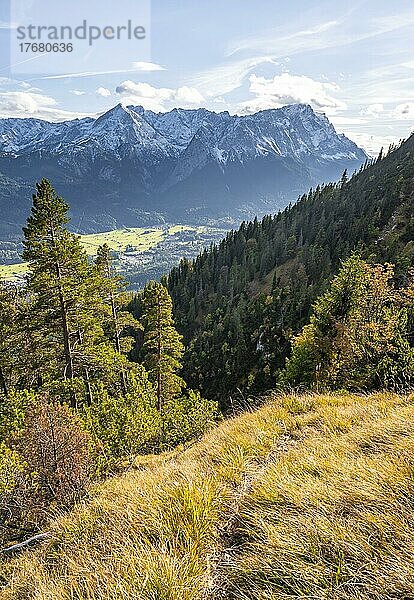 Wanderweg zur Kramerspitz  Blick auf das Wettersteingebirge mit Zugspitze  Bayern  Deutschland  Europa