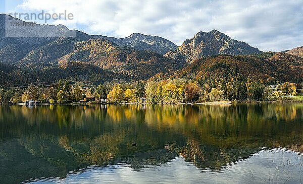 Berge und Wald  Alpenvorland im Herbst  Kochelsee  Bayern  Deutschland  Europa