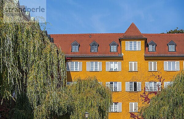 Innenhof mit Park und gelben Wohnhäusern  Borstei  denkmalgeschützte Wohnsiedlung  Stadtteil Moosach  München  Bayern  Deutschland  Europa