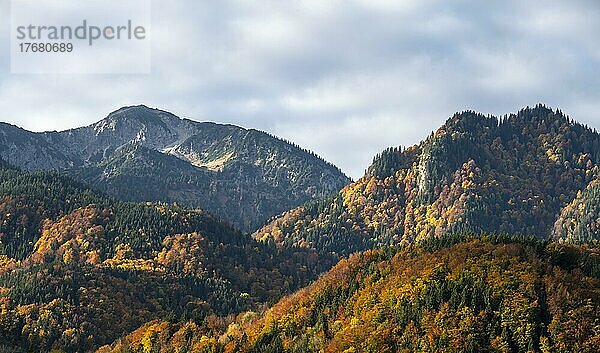 Berge und Wald  Alpenvorland im Herbst  Bayern  Deutschland  Europa
