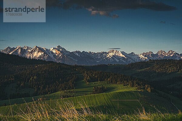 Verschneite Berggipfel  grüne Wiesen  Frühlingsmorgen  Sonnenaufgang  Tatra-Gebirge  Polen  Europa