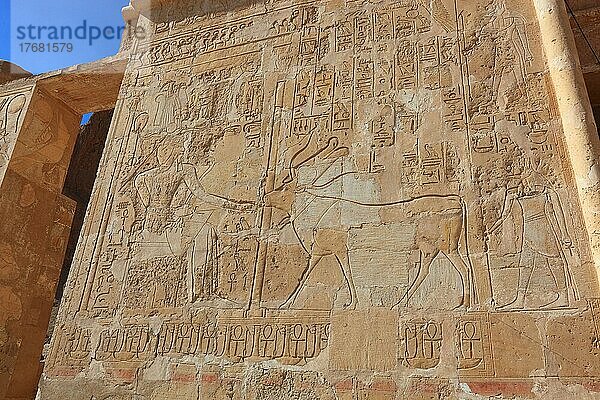Teil der Tempelanlage  bildliche Darstellungen  Gravuren an den Wänden  Säulen  Totentempel der Hatschepsut  Hatshepsut Tempel in Deir el-Bahari am Westufer des Nil in Theben  Oberägypten  Ägypten  Afrika