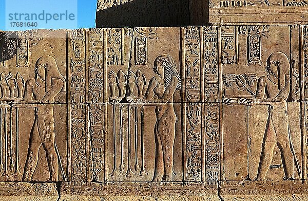 Reliefs und Gravierungen an den Wänden im Kom Ombo Tempel am Nil  Ägypten  Afrika