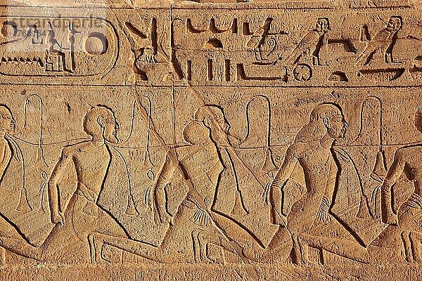 Abu Simbel  auch Abu Simbal  Ebsambul oder Isambul  Relief am Tempel Ramses II. Oberägypten  Ägypten  Afrika