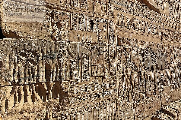 Isistempel  Isis-Tempel von Philä auf der Nil-Insel Agilkia  Reliefs am Isis-Tempel  Teil der Tempelanlage  Oberägypten  Ägypten  Afrika